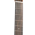 Back of Martin D-11 Stained Glass Guitar image number 4